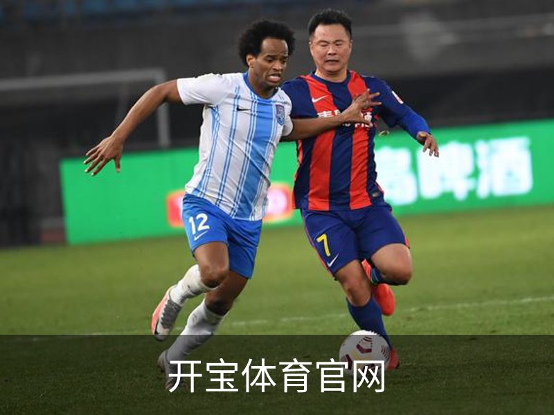 开宝体育官网简介